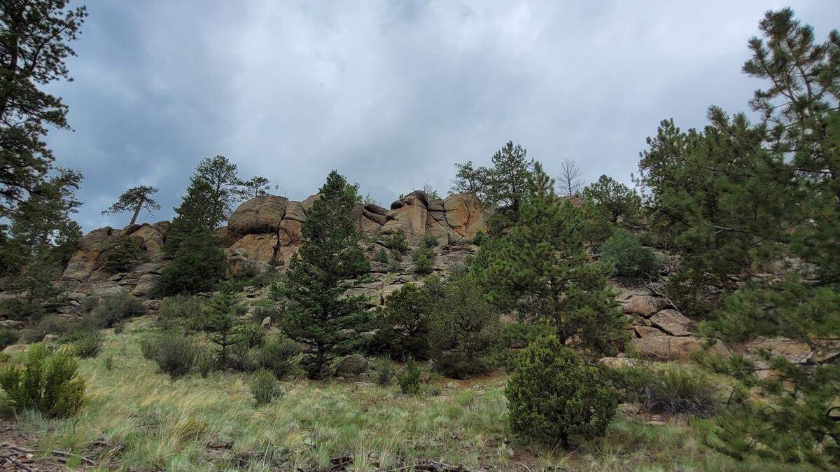 A camper was reported missing near Saguache, Colorado, on Tuesday, July 26, officials said.