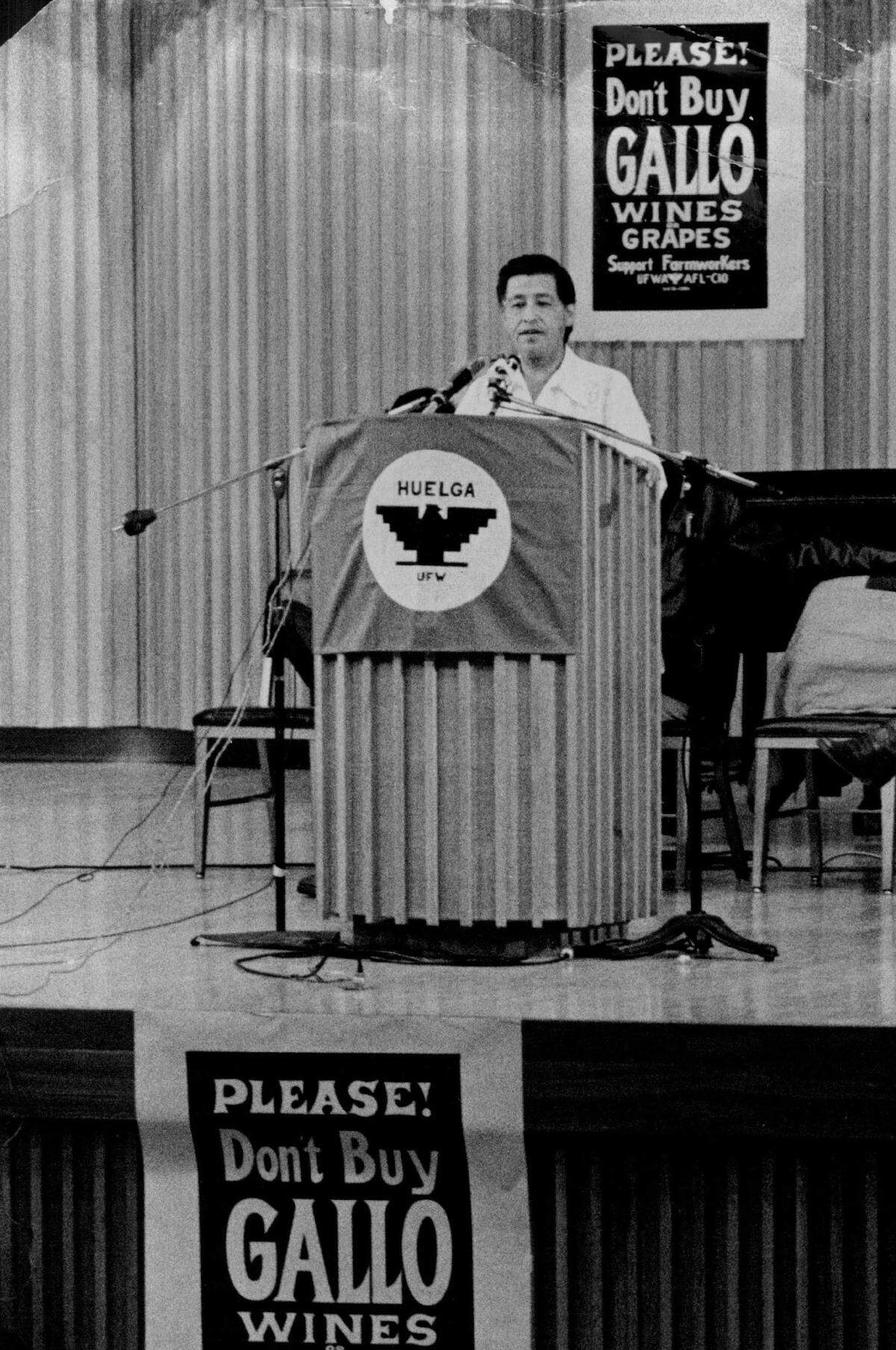 The United Farm Workers flag adorns the podium as labor leader Cesar Chavez speaks at Sacramento State on during the Gallo wine boycott on May 3, 1975.