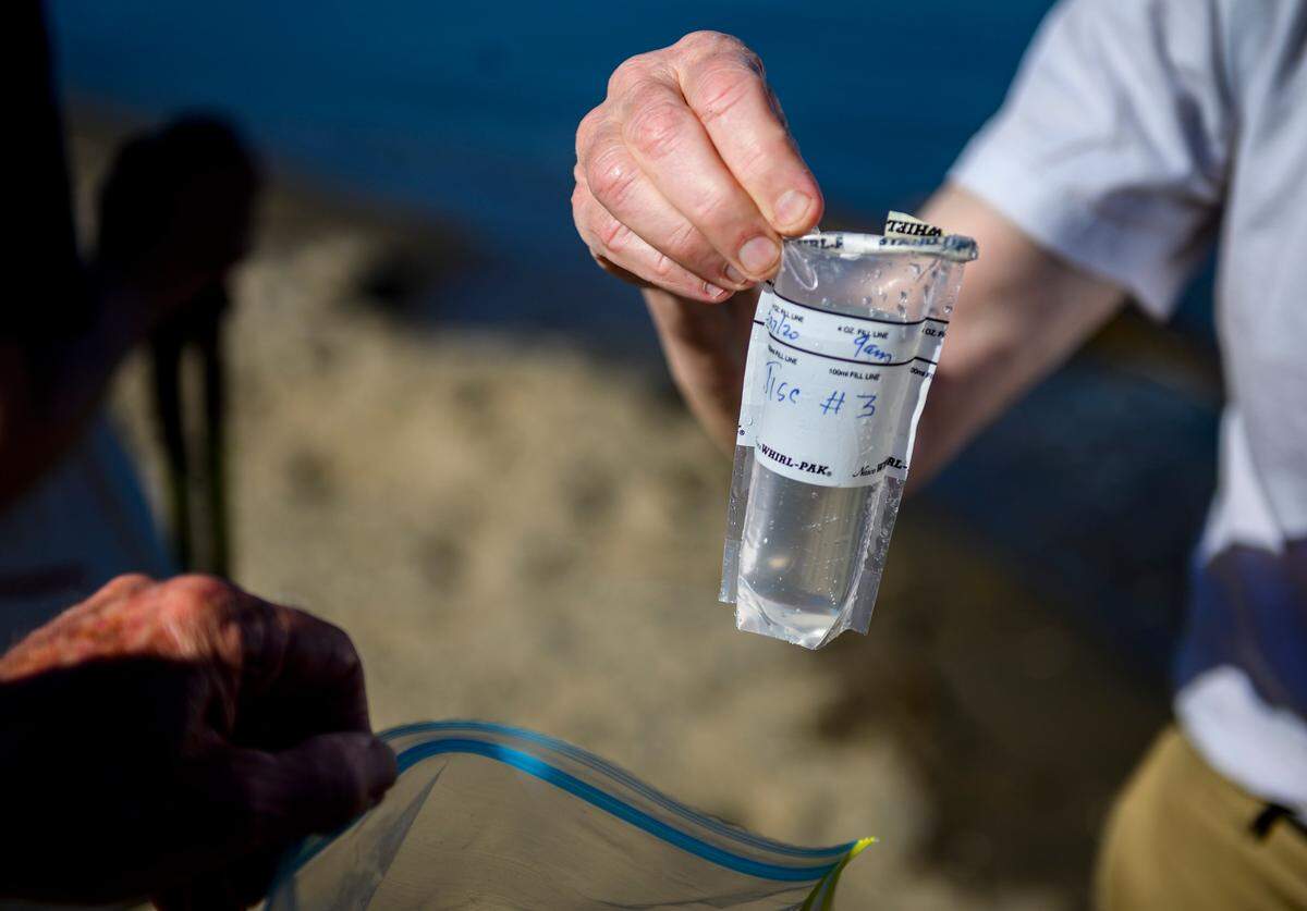Robert Metcalf, a microbiologist and professor emeritus at Sacramento State, gives a water sample from the American River to colleague Alan Wade at Tiscornia Beach in Sacramento on Wednesday, May 27, 2020. The two volunteer water testers for the Save the American River Association are checking for E. coli, a bacteria that comes from feces.