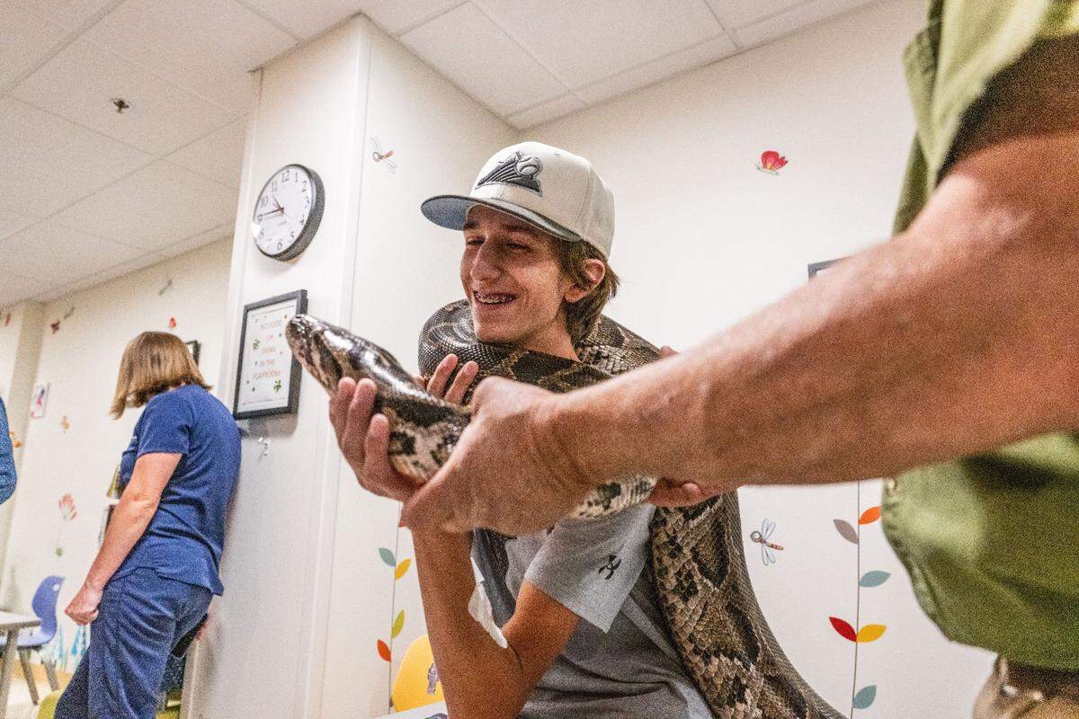 Sutter Hospital patient Zachary Langum, 15, of Escalon, holds a snake on Thursday as animals from the SeaWorld education and conservation program visit the midtown Sacramento hospital.