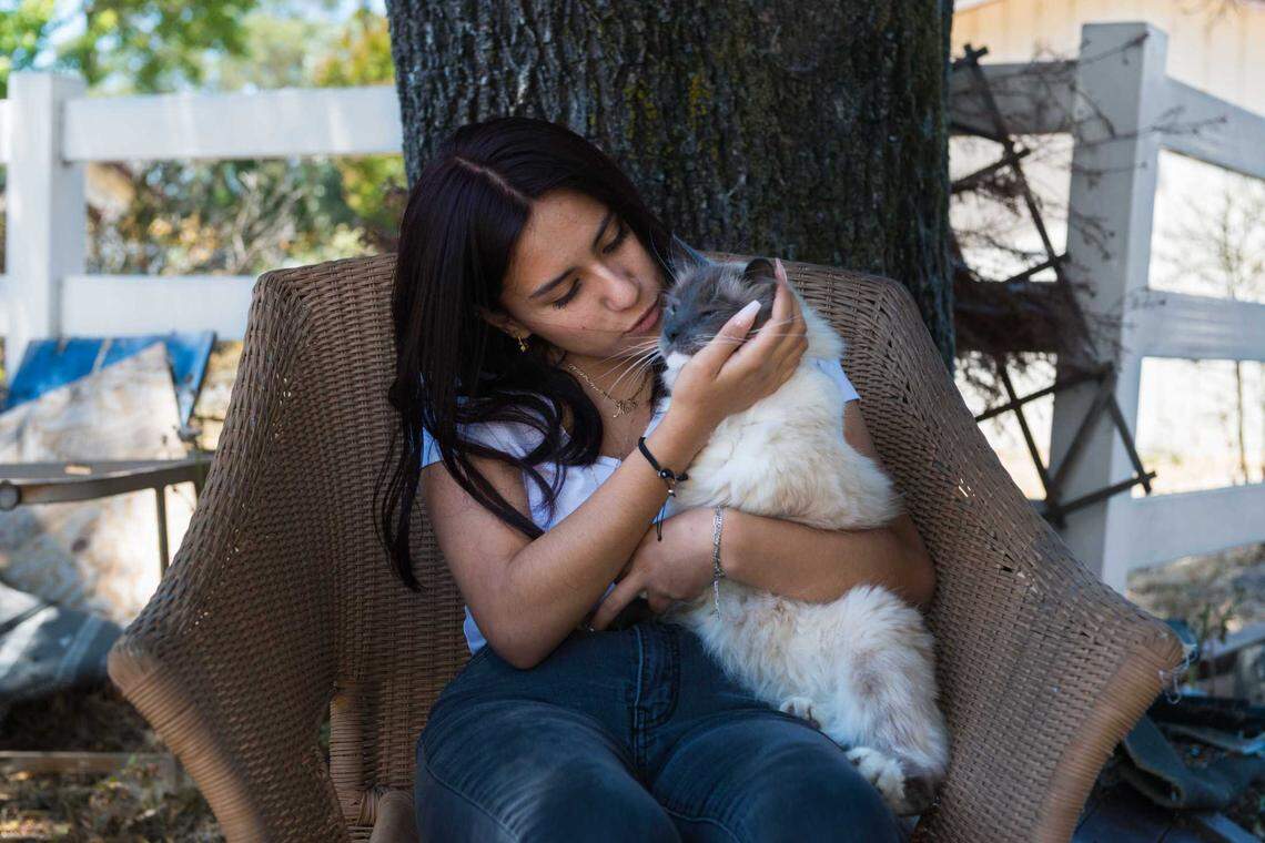 Maia Bravo with her cat, Misi, who was found 15 days after the family fled a wildfire. Misi recently passed away.