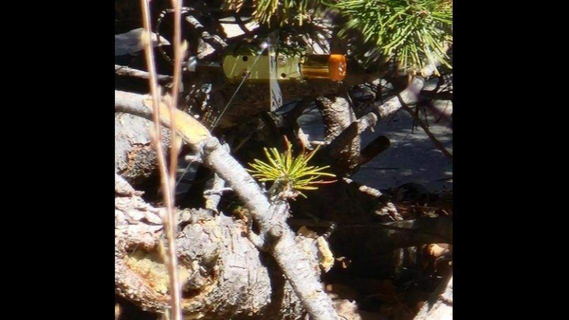 Two people were arrested after injuring a man with a booby trap by their front door, Colorado officials said.