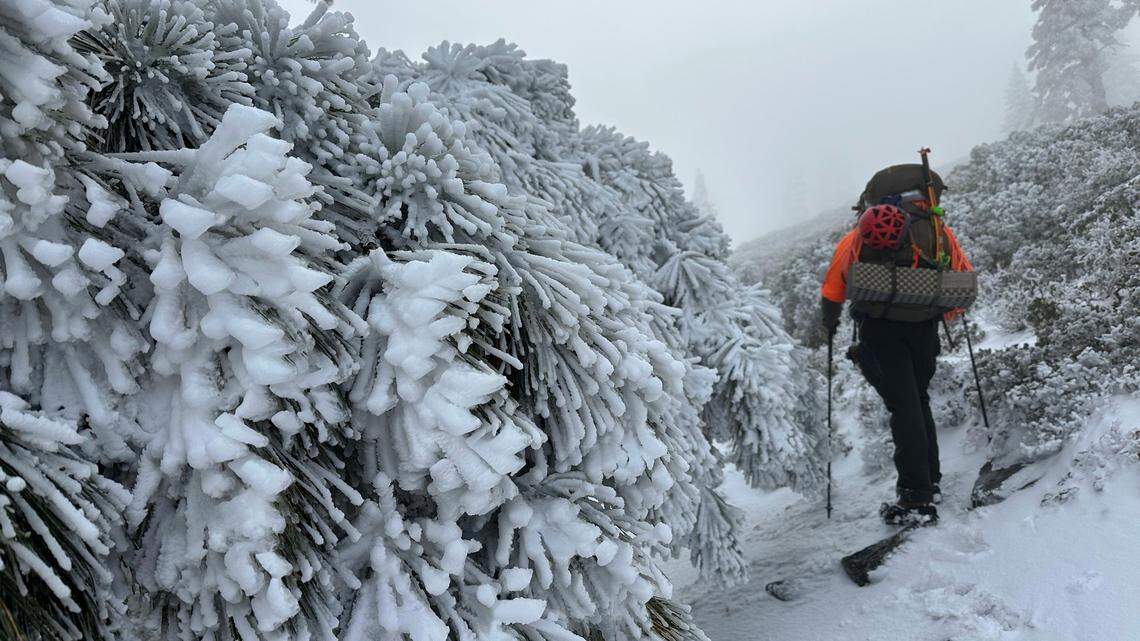 A storm halted the rescue of two backpackers for three days in the San Gorgonio Wilderness in California on Nov. 7, 2022, police said.