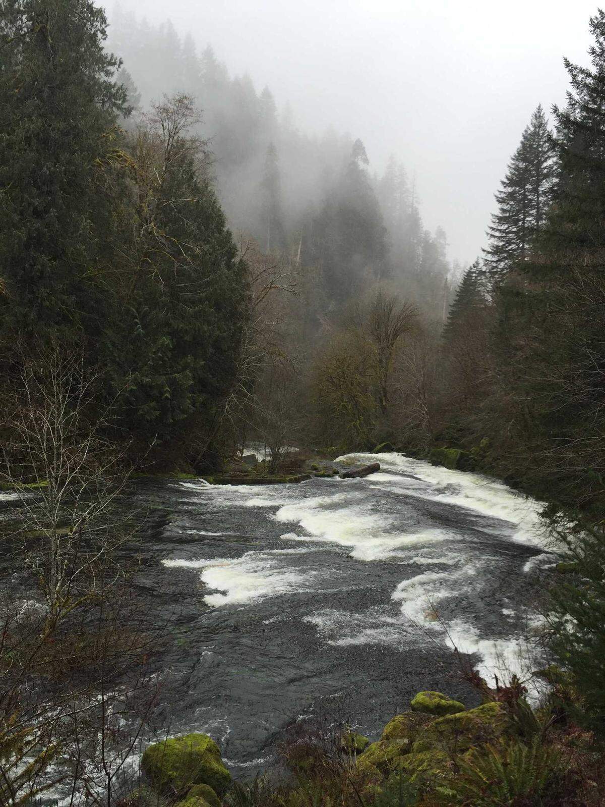 Oregon’s Lake Creek Falls, near Triangle Lake, is seen in March 2016. The wilderness area has been a popular swimming and picnicking spot since the early 1900s, according to the Bureau of Land Management, which maintains the site. BLM officials, however, caution visitors that swimming in the swift, shallow water near the falls can be extremely risky.