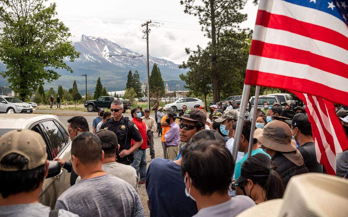 Hundreds of Hmong families gather May 14 in Weed to celebrate on the day community leader Mouying Lee who authorities say is a pot ringleader arrested last year on 78 counts of money laundering, falsifying tax returns and cannabis cultivation is released on his own recognizance by Judge Karen Dixon after he was ordered held on $3 million bail last year. The gathering was forced to relocate by a local official because it lacked a permit.