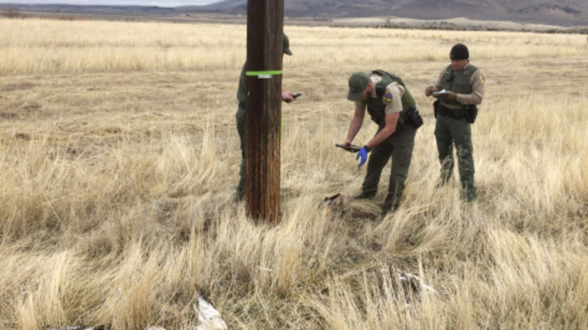 Wildlife officers served a search warrant at Richard Parker’s home and property in Standish after an anonymous person said they saw a man shoot a hawk. Parker pleaded guilty to charges of poaching in excess in the state’s largest raptor poaching case.