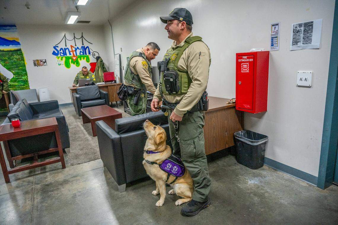K9 Anna sits attentively with her handler, Correctional Officer Thomas Grady, inside a room where the resource team works with inmates inside the D Facility at Salinas Valley State Prison on March 6, 2025. Anna is a certified facility support K9 donated by Guide Dogs of America. According to her business card, which Grady was happy to hand out, Anna helps staff decompress and her calming nature facilitates team bonding, enhances morale and promotes a positive work environment.