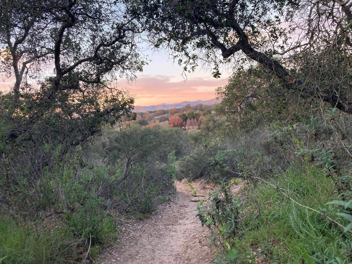 Photo looking north toward proposed Dana Reserve housing project. There has been intense opposition to the removal of 3,000 oak trees, though pro-housing organizations are advocating for the project.