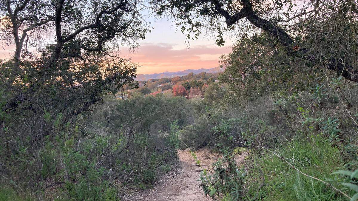 Photo looking north toward proposed Dana Reserve.
