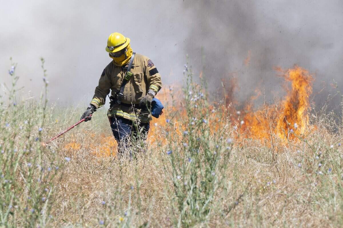 A firefighter tends to a prescribed burn near Dry Creek between 16th and 18th streets in Rio Linda on Tuesday.