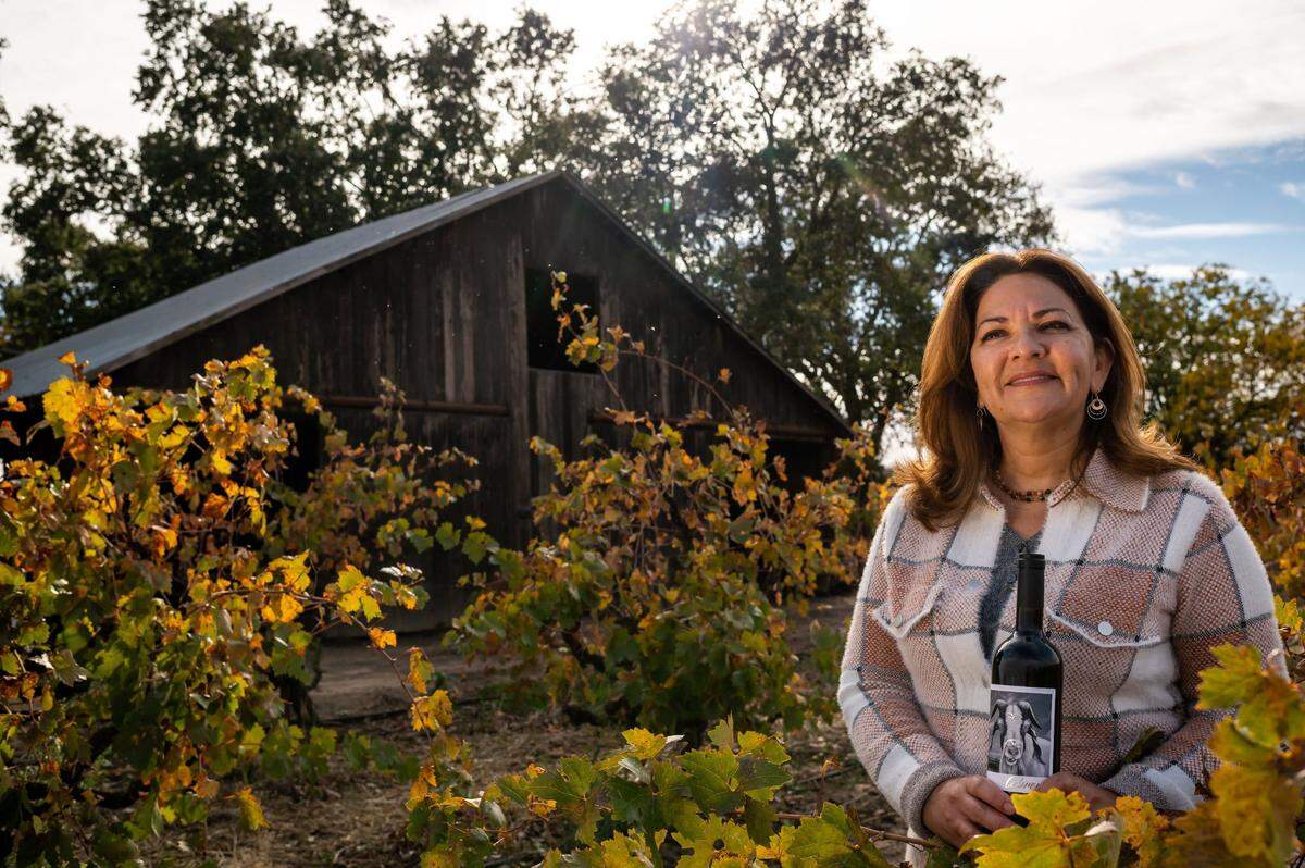 Paskett Vineyards & Winery owner Lorraine Paskett is photographed with a bottle of Cabrona, a Bordeaux-style blend, at her vineyards Tuesday, Oct. 26, 2021, near Lodi. Part of it sort of honors my mom, but it also honors my fiends, she said of the label. Cabrona can mean strong woman, and I think it probably takes a strong woman to be crazy enough to open a winery.