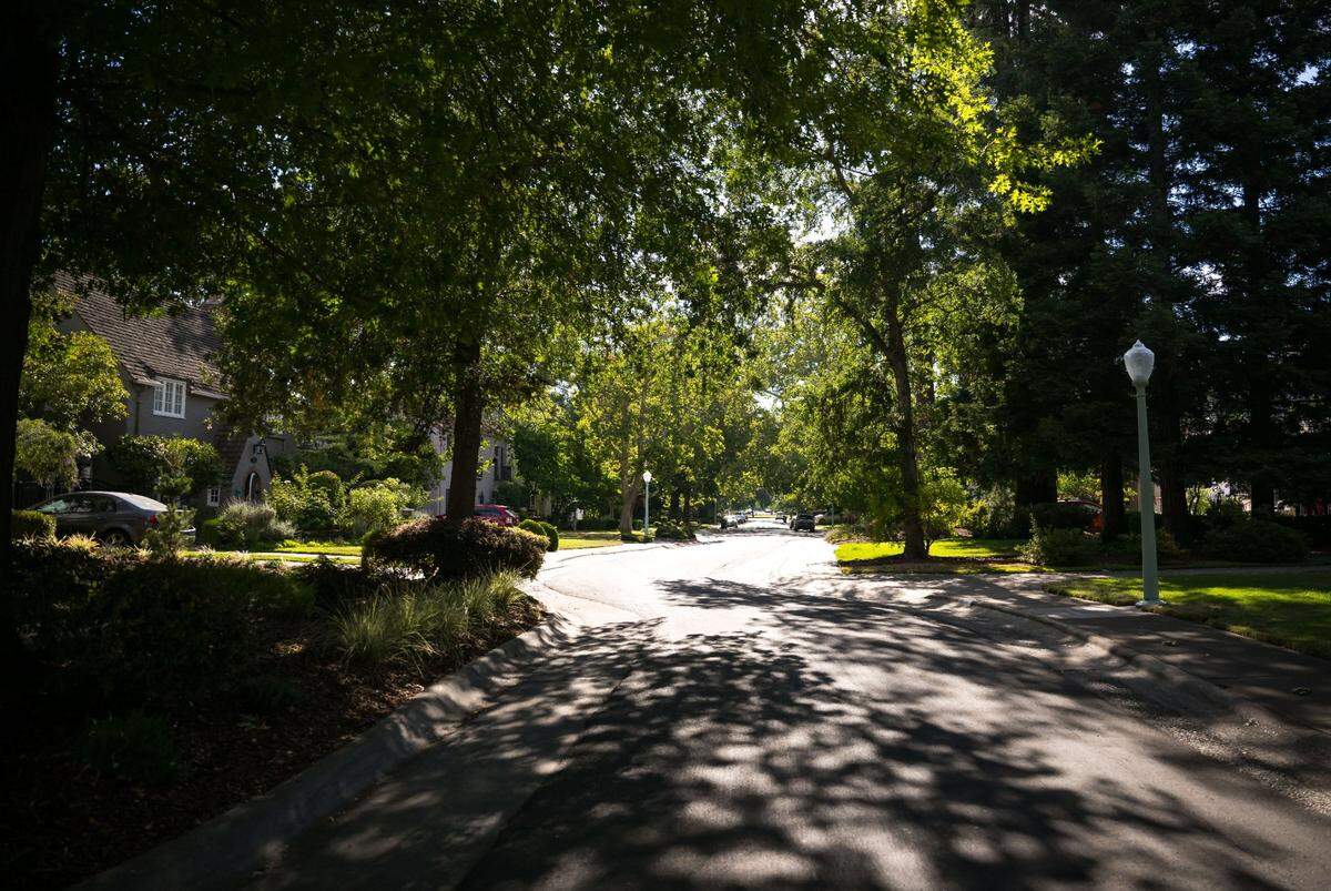 Trees shade Curtis Park’s Montgomery Way in Sacramento in 2023.