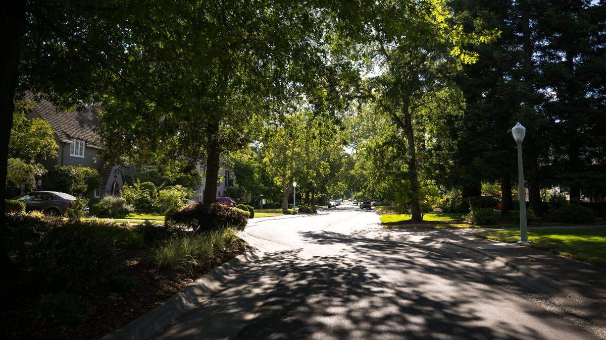 Trees shade Curtis Park’s Montgomery Way on Tuesday, Aug. 1, 2023, in Sacramento. Local residents are behind the effort to list the Montgomery Way Gateway Historic District on the National Register of Historic Places.