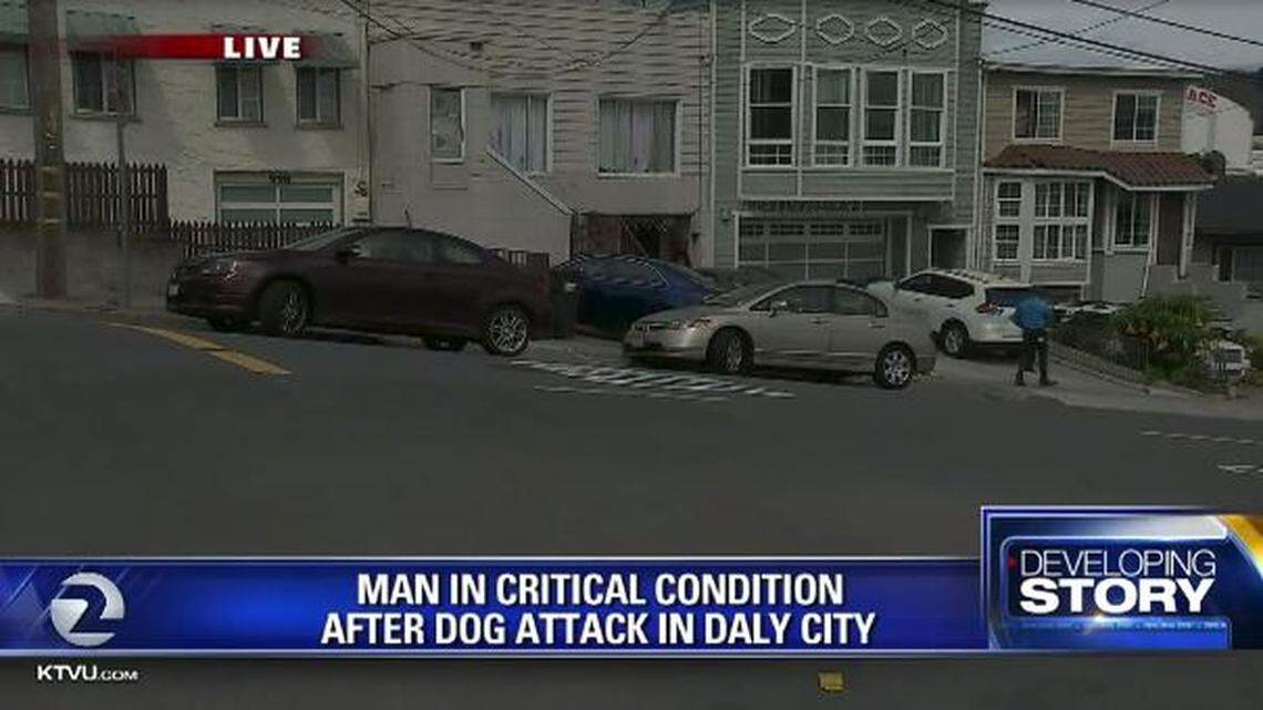Police in Daly City, California, fatally shot a dog Monday morning as it mauled a 40-year-old man, who was hospitalized in critical condition. Neighbors tried to aid the man but couldn’t reach him.