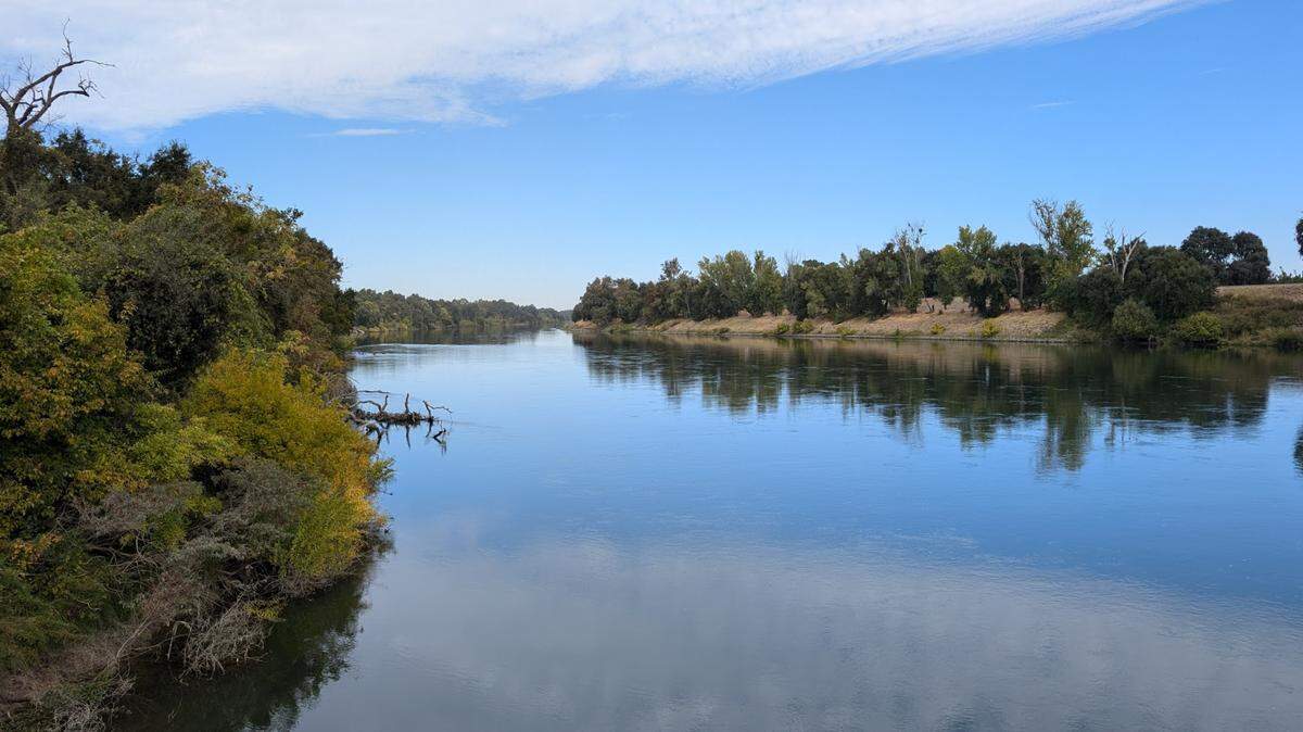 The Feather River on the eastern side of Dos Rios Norte, a floodplain restoration project in planning by River Partners, visited during the 30x30 Partnership 2024 Summit.