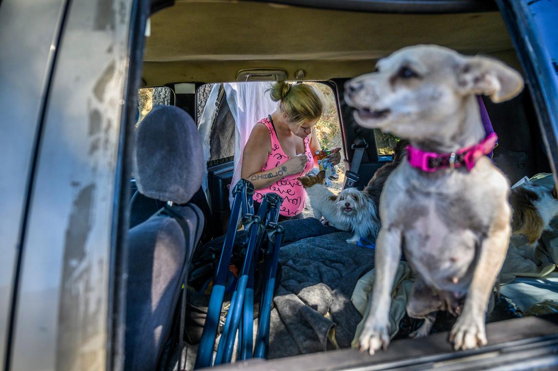 Laurane Ivey, 37, feeds dogs that belong to several homeless people living in cars on Thursday, July 11, 2019, in Sacramento. She said she has been living on the streets since she was 12.