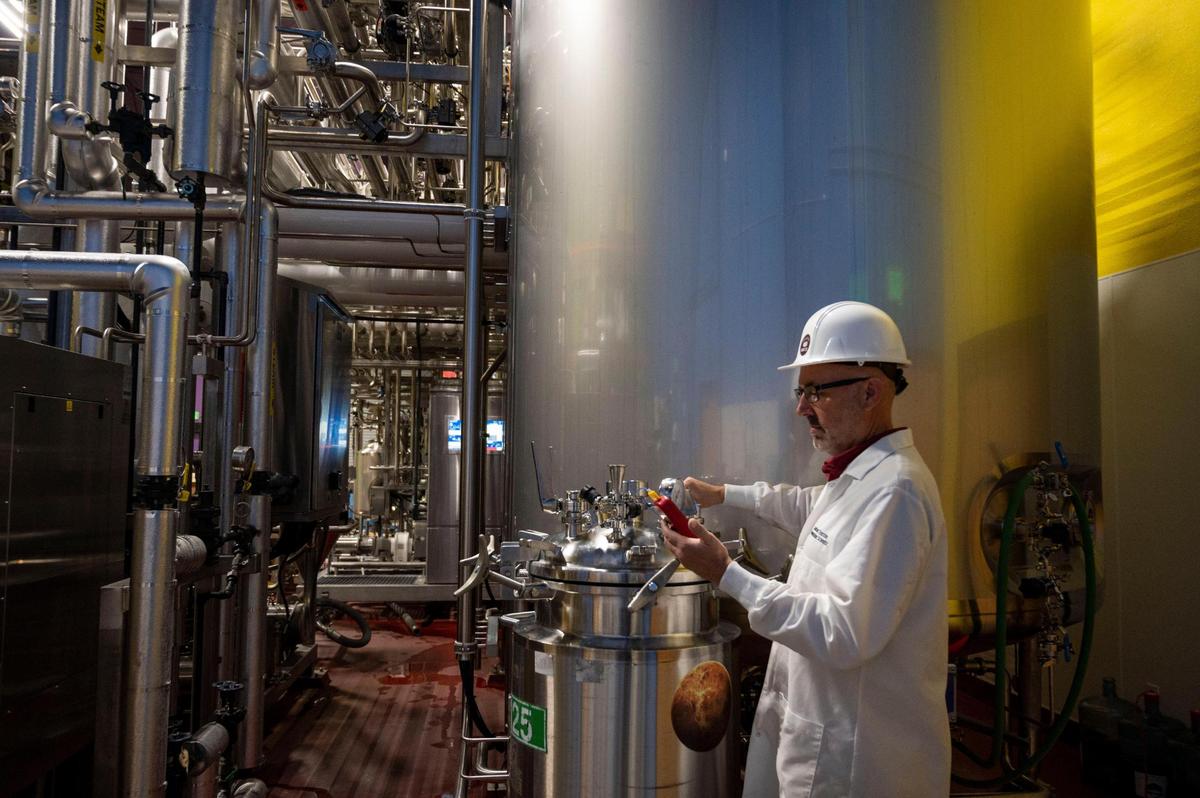 Jonathan Thurston, a senior scientist at The Better Meat Co. in West Sacramento, checks the temperature of one of his mycellium experiments in the lab Feb. 24.