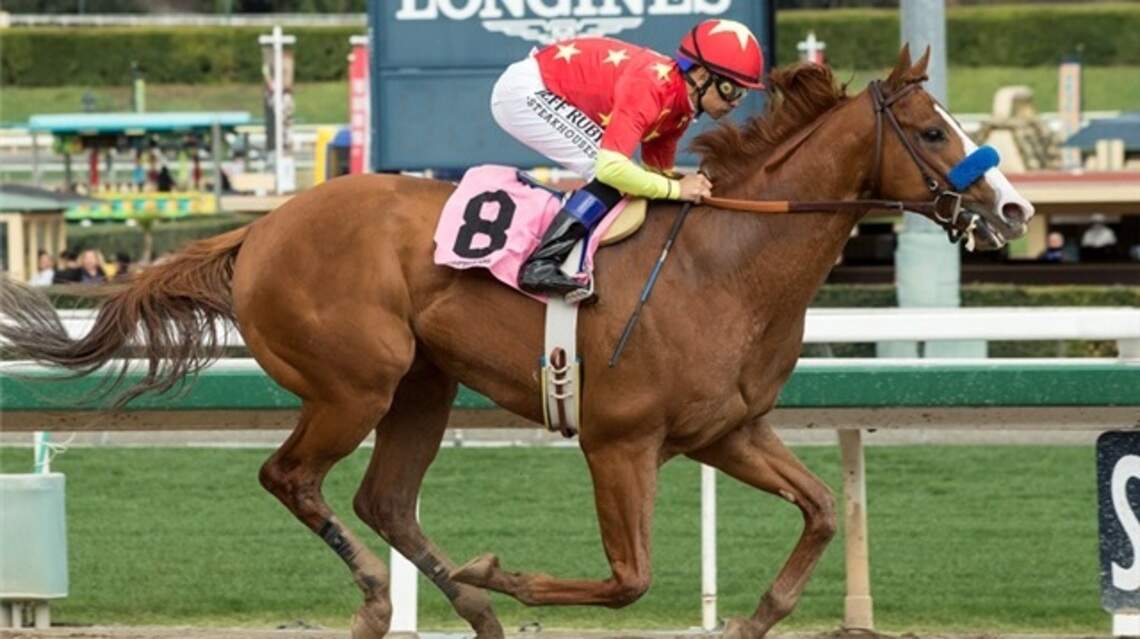 These horses emerged as Kentucky Derby favorites after an epic duel in California