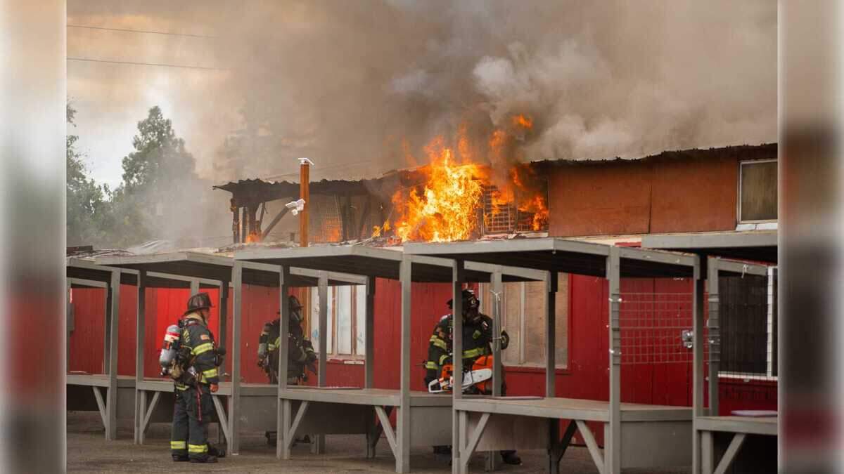 Folsom Boulevard Flea Market fire destroys 20,000-game collection, businesses