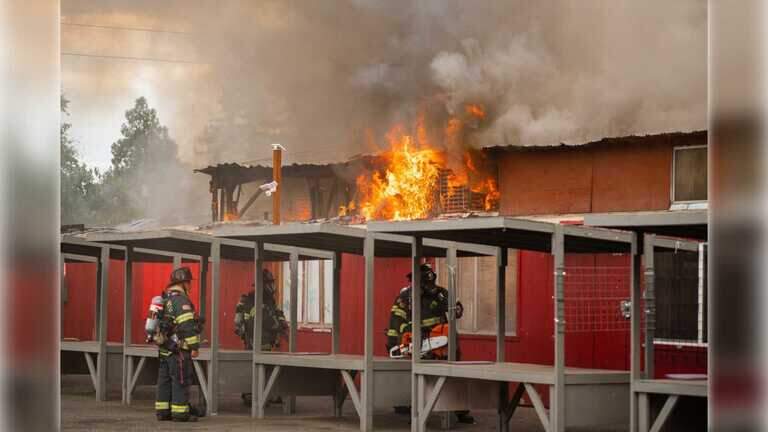 Folsom Boulevard Flea Market fire destroys 20,000-game collection, businesses