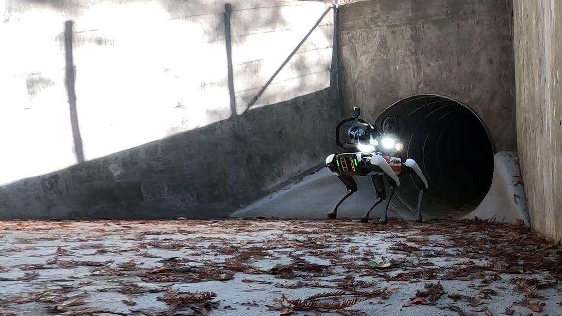 California’s strategy to improve Caltrans worker safety? ‘Spot’ the robotic dog