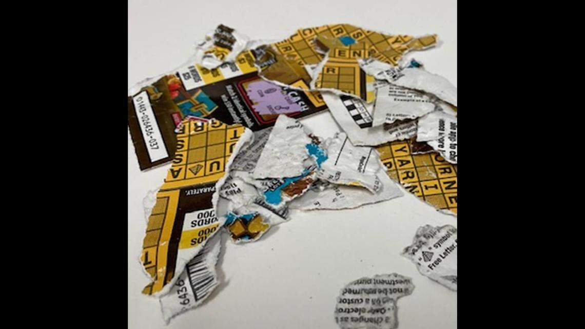 A Salem, Oregon, couple won $8 after sending a chewed-up scratcher ticket and a photo of their two dogs to the lottery, officials say.