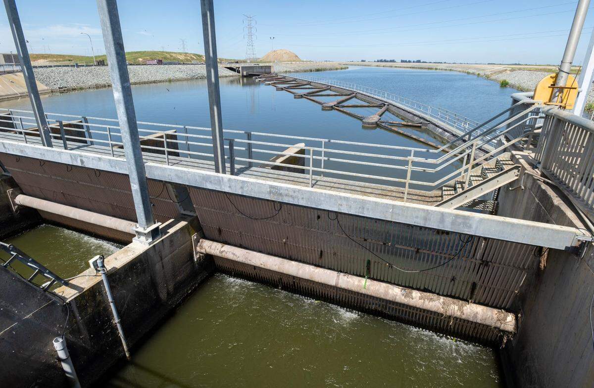 The John E. Skinner Delta Fish Protective Facility screens fish and other large objects in the intake channel from the Clifton Court Forebay, before the water is pumped into the California Aqueduct.