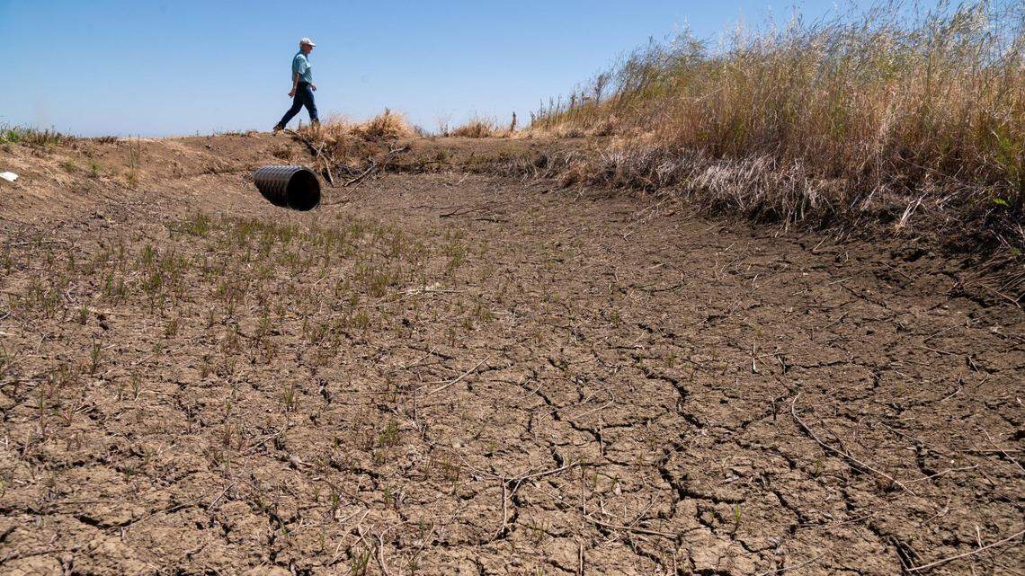 Can AI help predict and manage drought? UC Merced researchers explain in new book