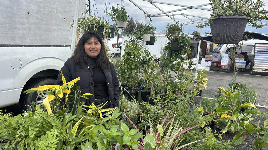 Fresh fruit, beautiful plants and great bargains? I visited the Galt Flea Market