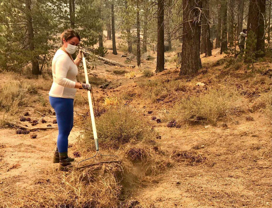 Kathy Trout, 35, a nurse at a hospital in Gardnerville, NV, rakes pine needles from her property along US 50 near South Lake Tahoe