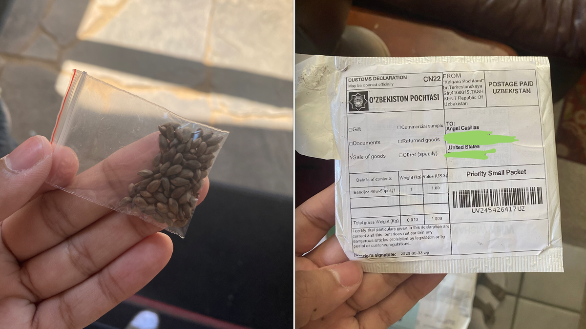 A strange variety of “mysterious and unsolicited seeds from China and other parts of Asia” in neat packets have been sent to homes in the Sacramento-area and across the country, alarming local and state agriculture officials. 