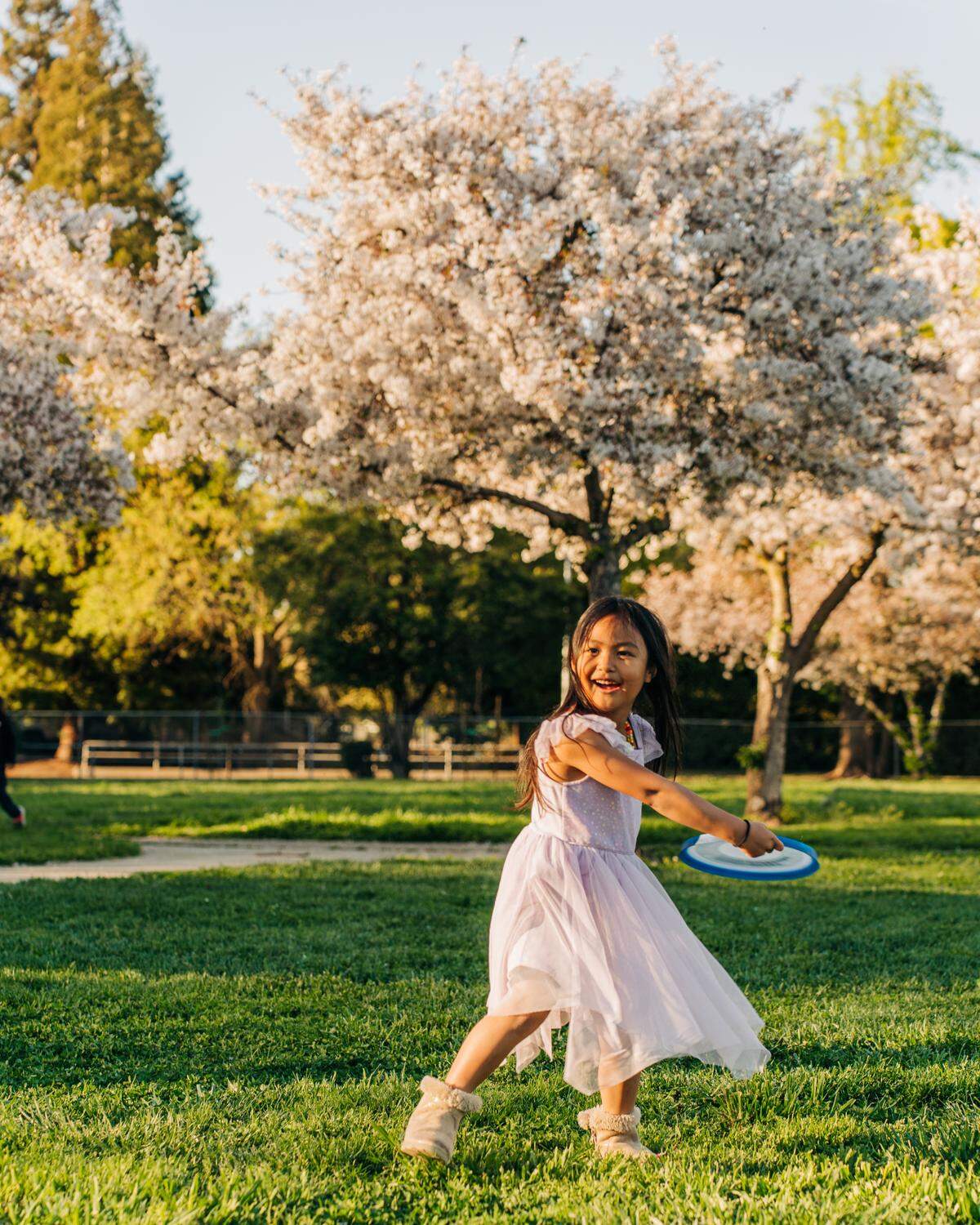 The hanami experience in Japan involves cherry blossom viewing.