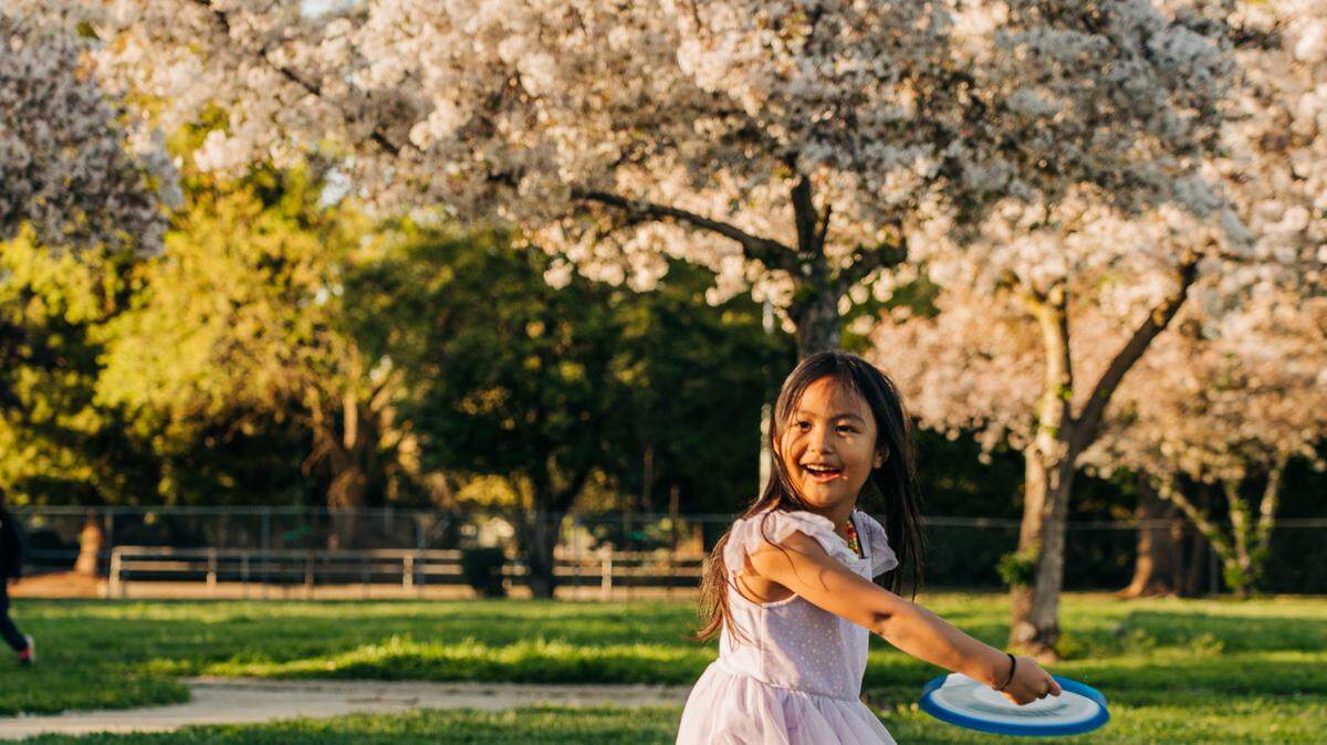 Photo of the hanami experience, provided by the Sacramento Tree Foundation.