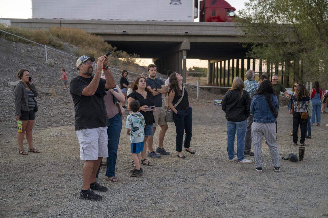 Participants of the Yolo Basin Foundation’s bat tour use a bat detector to hear the Mexican free-tailed bat’s echolocation signals as they fly out from under the Yolo Causeway in Davis on Monday.