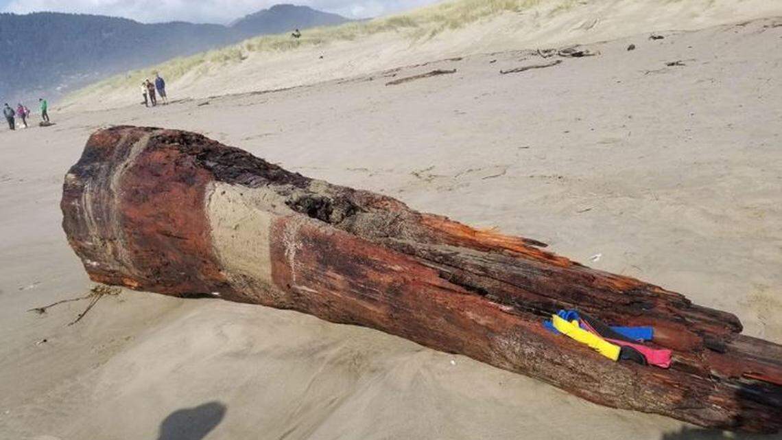 A woman sitting on a log on an Oregon beach suffered serious injuries when a sneaker wave rolled the driftwood over on top of her, Nehalem Bay Fire & Rescue officials say.