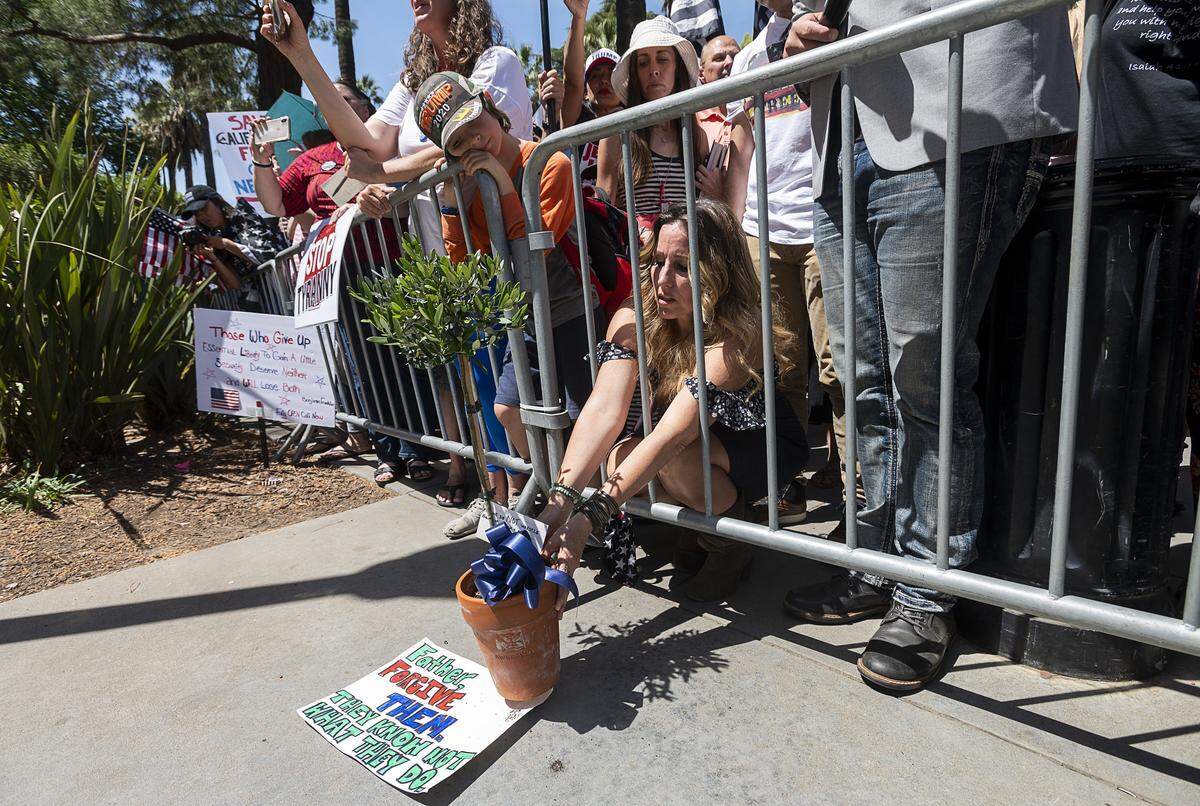 Tara Thornton of the Freedom Angels places an olive tree on the state Capitol grounds for CHP officers during a protest against Gov. Gavin Newsom’s coronavirus stay-at-home order on Thursday, May 7, 2020 in Sacramento.