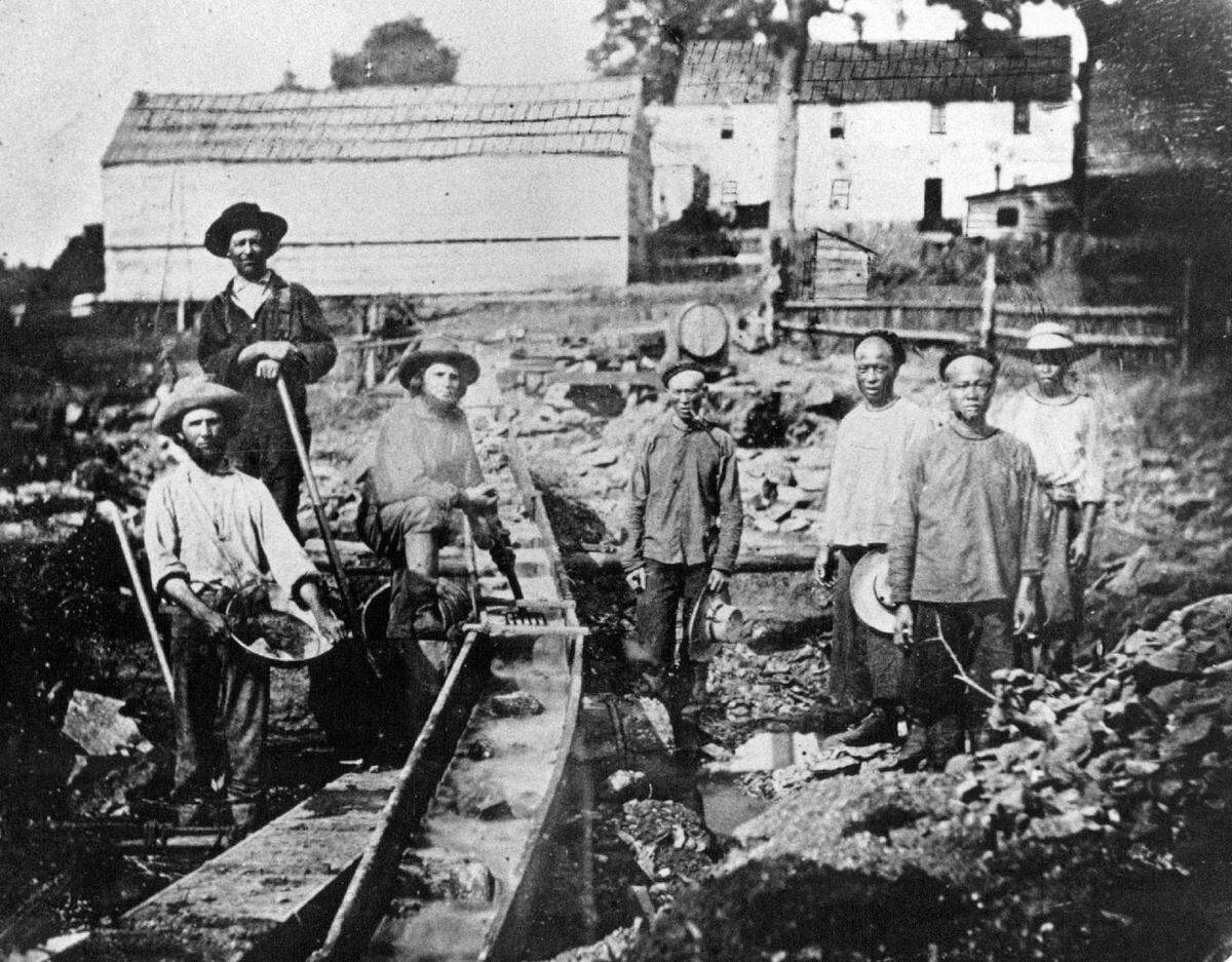 White and Chinese workers use a sluice to separate gold from silt, sand and gravel at the head of Auburn Ravine in 1852.