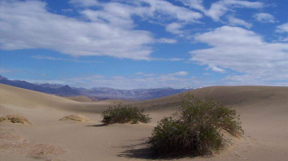 A maintenance worker found a man’s body on July 3 in a vehicle that was off the road in Death Valley National Park, officials said. The man died from extreme heat.
