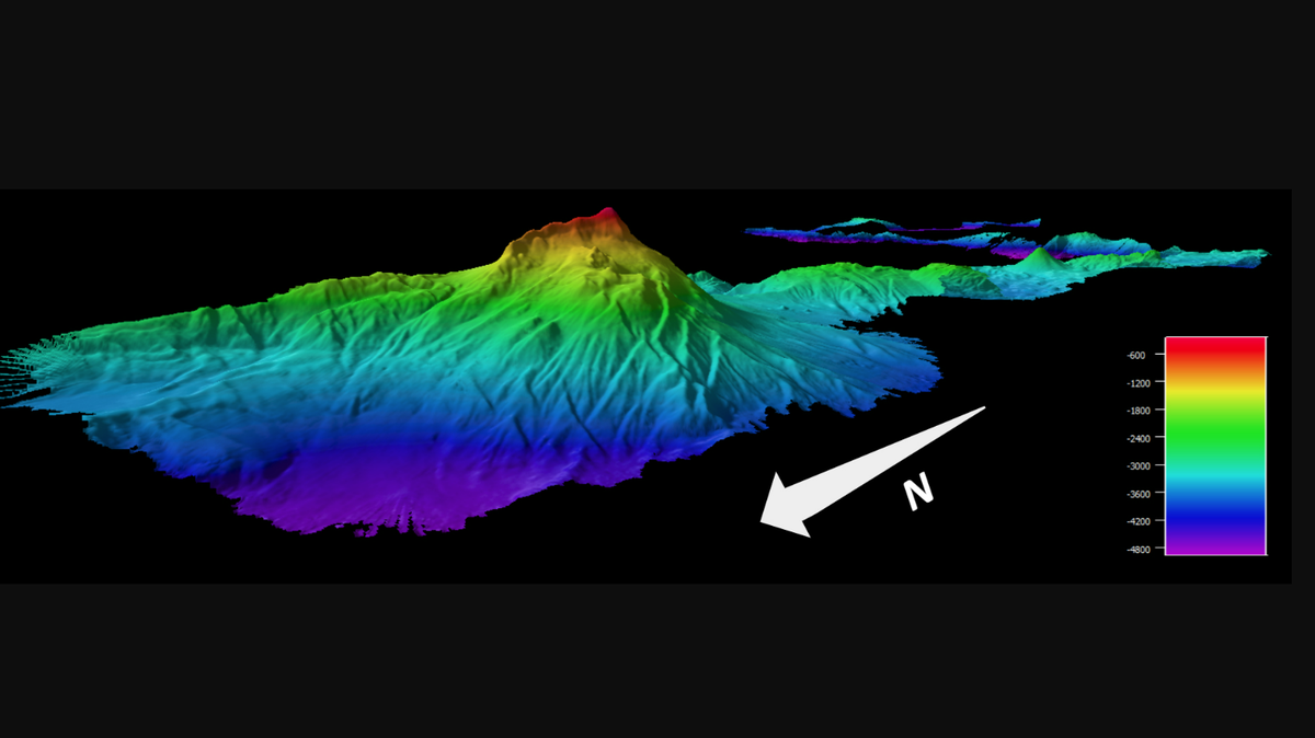 This massive mountain in the west Pacific is about 2.6 miles tall, yet its peak remains 800 feet below the surface, NOAA Ocean Exploration says.