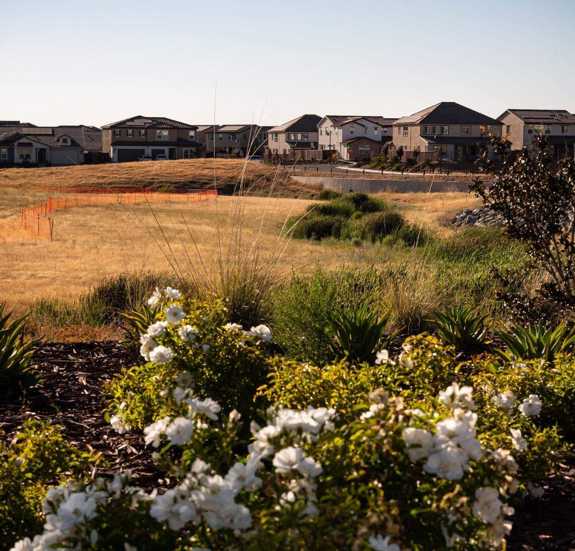 Flowers bloom in the landscaping near finished homes in the Folsom Ranch subdivision south of Highway 50 in Folsom on July 6. In the past two years 1,000 new residents have moved into the development, which could someday house 30,000 residents.