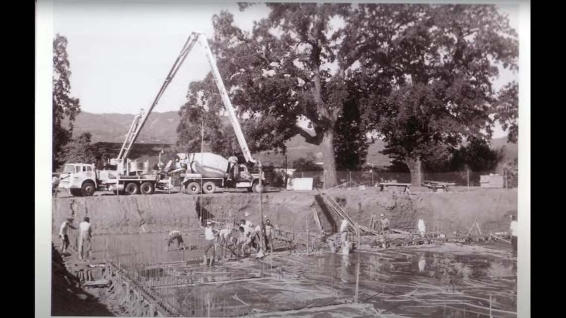 A 275-year-old oak tree toppled in California’s wine country during a storm.