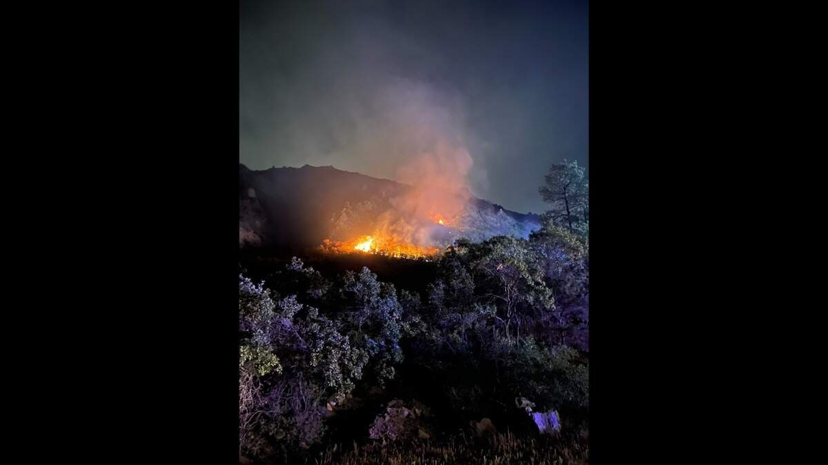 Rodents chewing on wires in an electric box ignited a brush fire in Colorado, officials said. 