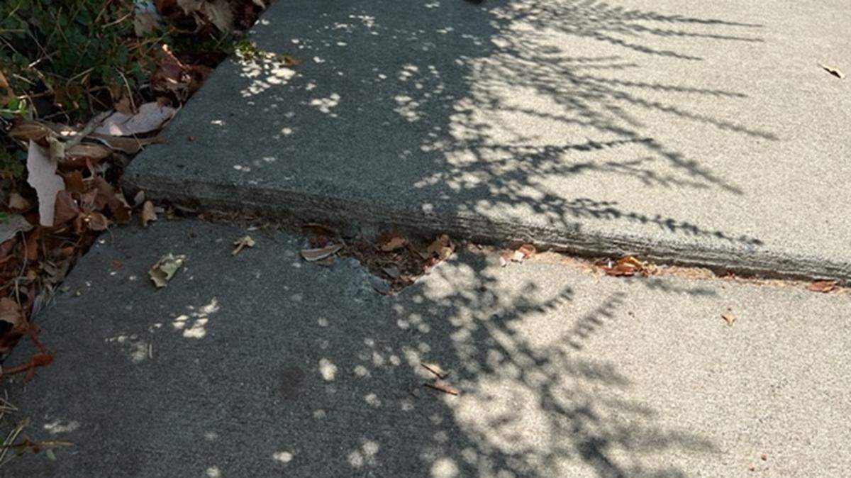 The section of a Davis sidewalk pushed up by a tree root that caused a fall and led to an $18 million settlement. Large settlements contributed to proposed changes in how risk is shared among public entities in Yolo County.
