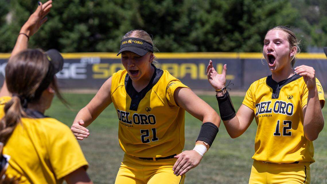 The Bee’s Top 20 softball teams: Sacramento stat marvels include aces and sluggers
