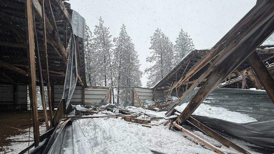 Horse dies after barn collapse in Sierra snow: ‘A quick check could save a life’