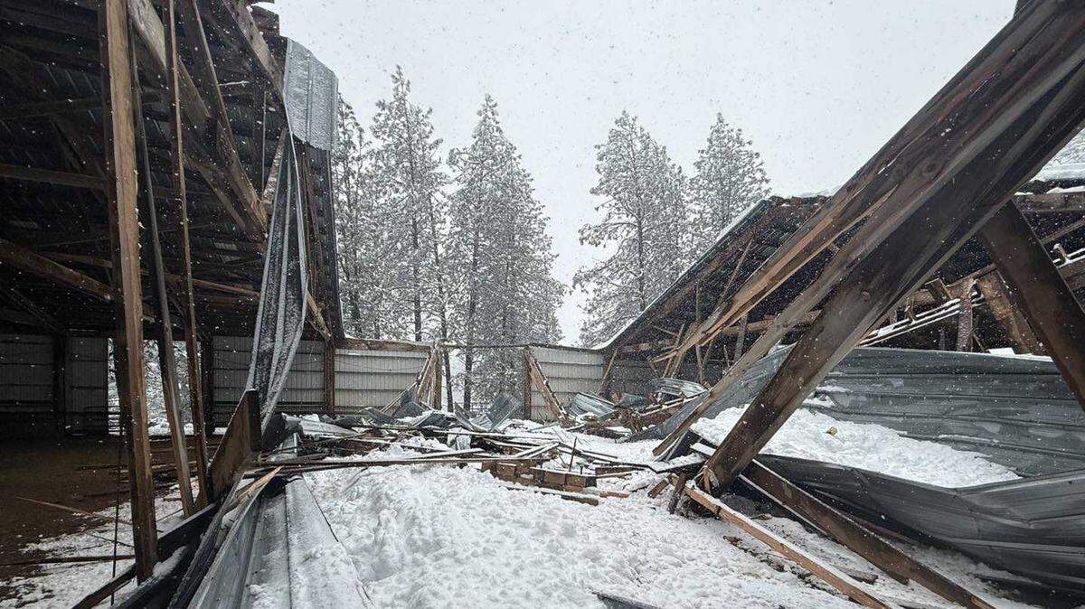A barn in Grass Valley collapsed Wednesday and killed a horse amid a record-breaking snowstorm, according to a nonprofit.