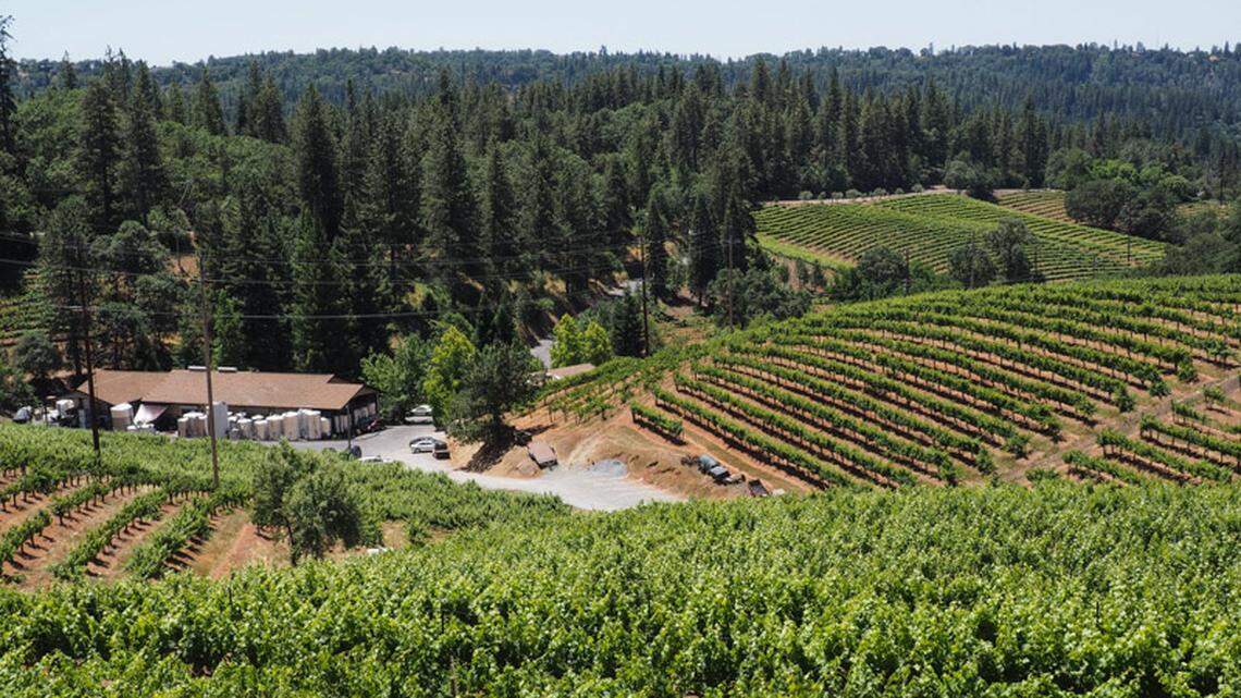Vineyards sweep across slopes cradling Boeger Winery on Apple Hill outside Placerville.