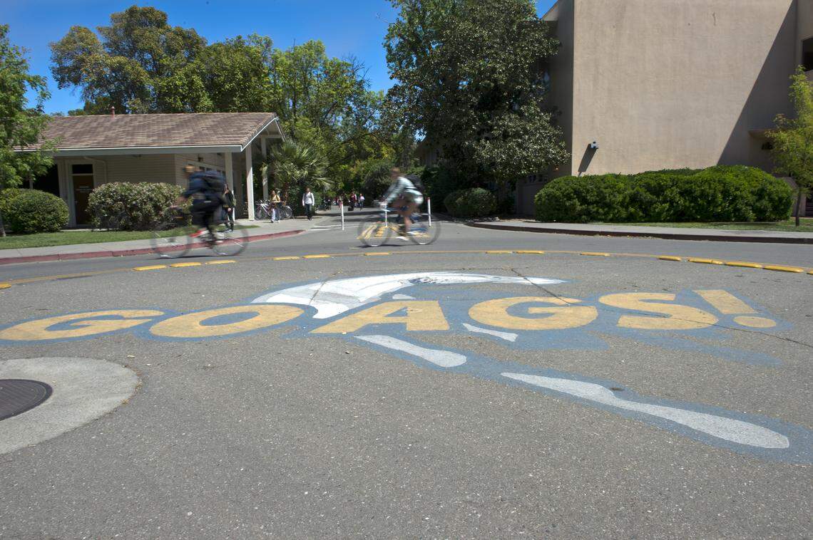 UC Davis students ride their bikes on Thursday, April 18, 2013. After the campus closed many roads to car traffic, the city of Davis introduced the country’s first bike lane in 1967. 