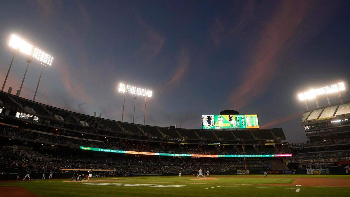 The Oakland A’s play the Chicago White Sox at the Oakland Coliseum in September 2021. A feral cat colony at the stadium has become a problem, officials say.
