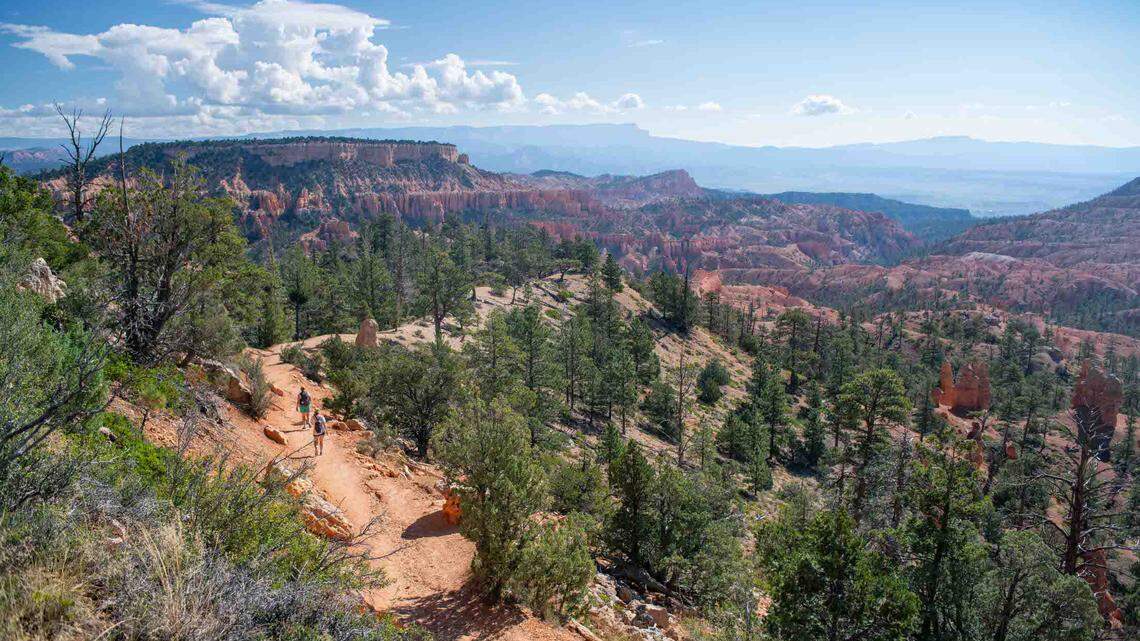 A 64-year-old woman who failed to return from a hike was found dead at Bryce Canyon National Park in Utah, rangers say.